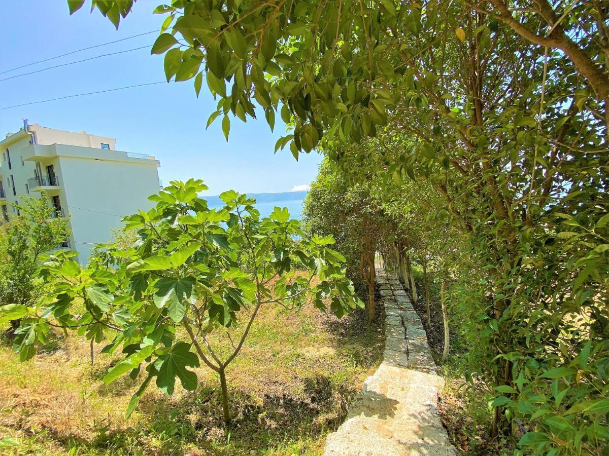 Ramo'S Cozy Beachside Haven With Panoramic Views - 1St Vlore Exterior photo