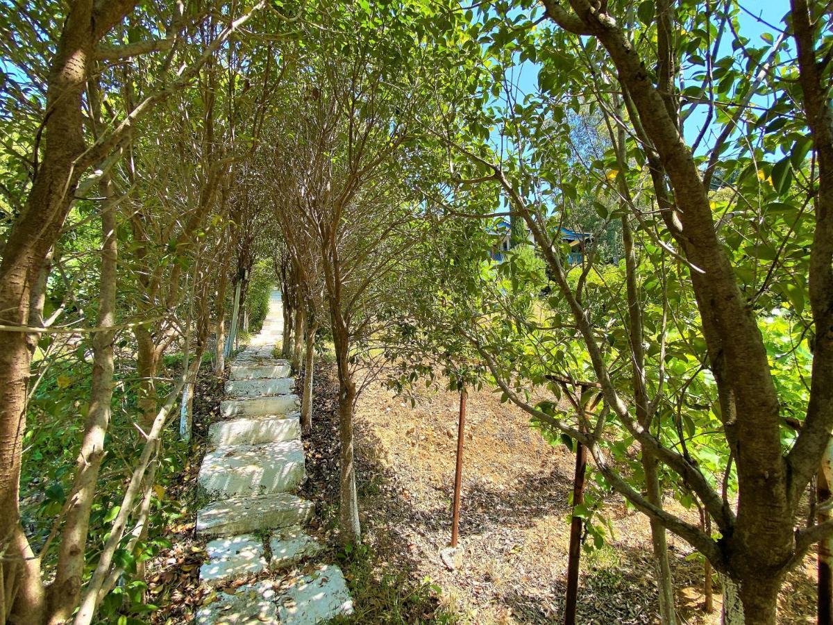 Ramo'S Cozy Beachside Haven With Panoramic Views - 1St Vlore Exterior photo